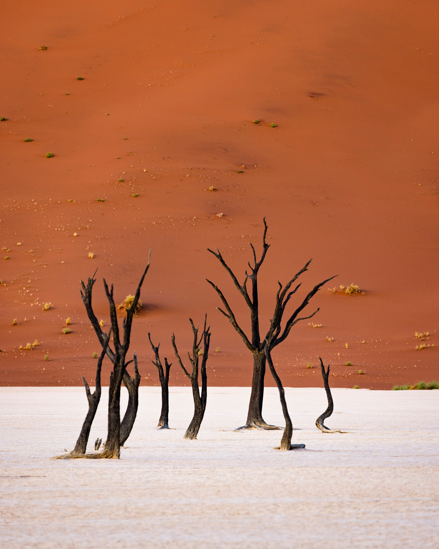 Deep red dunes of the Namib desert rising against pale sand